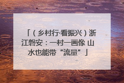 （乡村行·看振兴）浙江磐安：一村一画像 山水也能带“流量”