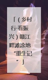 （乡村行·看振兴）赣江畔滩涂地“重生记”