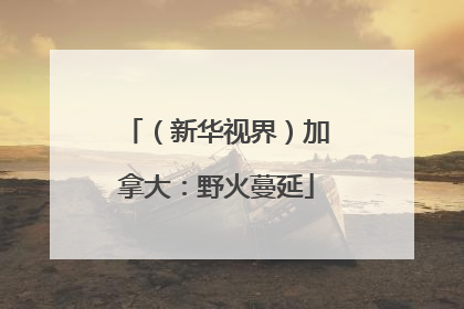 （新华视界）加拿大：野火蔓延