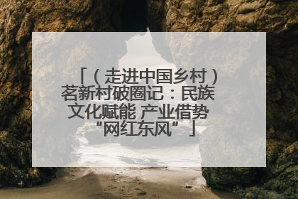 （走进中国乡村）茗新村破圈记：民族文化赋能 产业借势 “网红东风”