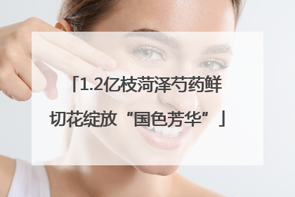 1.2亿枝菏泽芍药鲜切花绽放“国色芳华”