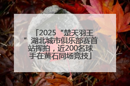 2025“楚天羽王”湖北城市俱乐部赛首站挥拍，近200名球手在黄石同场竞技