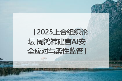 2025上合组织论坛 周鸿祎建言AI安全应对与柔性监管