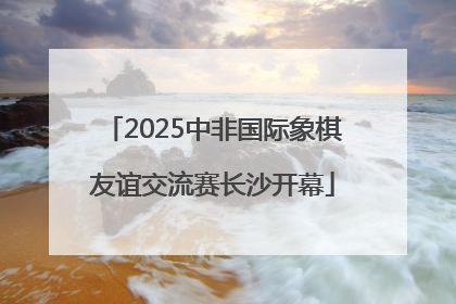 2025中非国际象棋友谊交流赛长沙开幕
