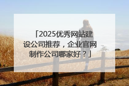 2025优秀网站建设公司推荐，企业官网制作公司哪家好？
