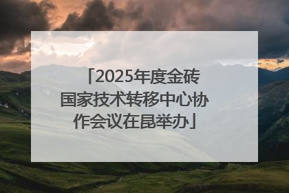 2025年度金砖国家技术转移中心协作会议在昆举办