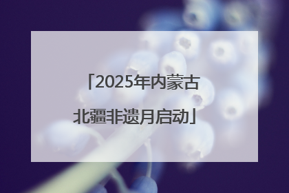 2025年内蒙古北疆非遗月启动