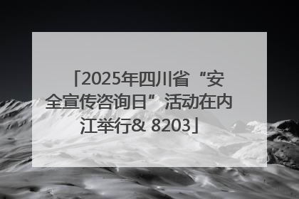 2025年四川省“安全宣传咨询日”活动在内江举行& 8203