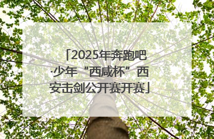 2025年奔跑吧·少年“西咸杯”西安击剑公开赛开赛