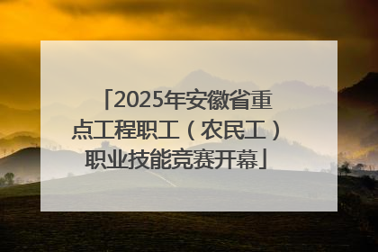 2025年安徽省重点工程职工（农民工）职业技能竞赛开幕