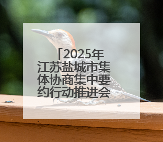 2025年江苏盐城市集体协商集中要约行动推进会举办