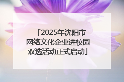 2025年沈阳市网络文化企业进校园双选活动正式启动