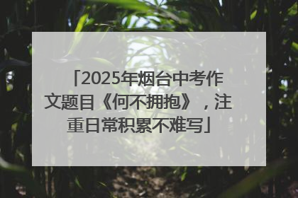 2025年烟台中考作文题目《何不拥抱》，注重日常积累不难写