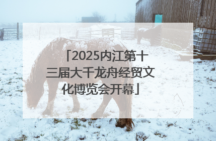 2025内江第十三届大千龙舟经贸文化博览会开幕