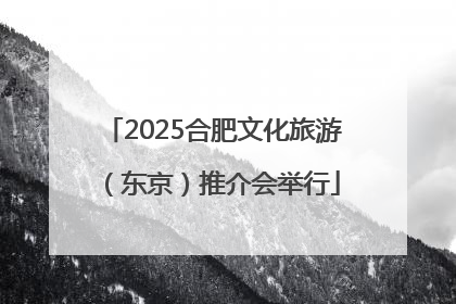 2025合肥文化旅游（东京）推介会举行