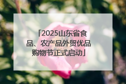 2025山东省食品、农产品外贸优品购物节正式启动