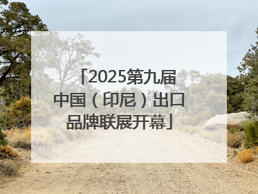 2025第九届中国（印尼）出口品牌联展开幕