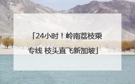 24小时！岭南荔枝乘专线 枝头直飞新加坡