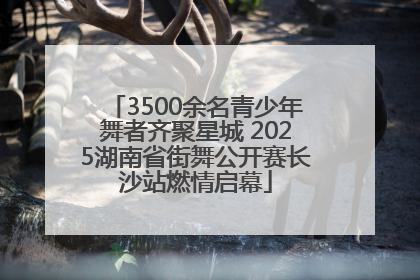 3500余名青少年舞者齐聚星城 2025湖南省街舞公开赛长沙站燃情启幕
