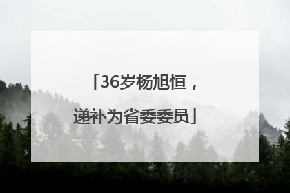 36岁杨旭恒，递补为省委委员