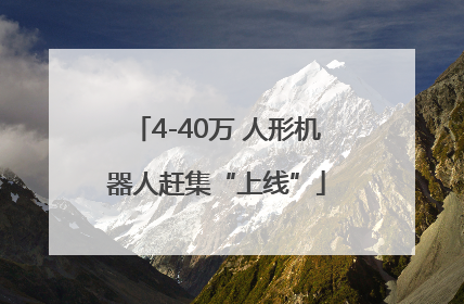 4-40万 人形机器人赶集“上线”