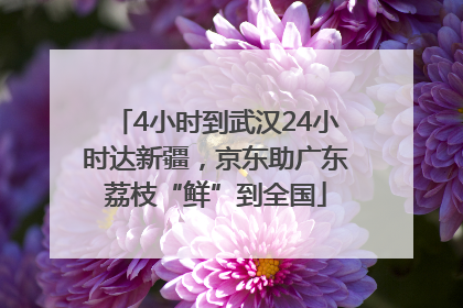 4小时到武汉24小时达新疆，京东助广东荔枝“鲜”到全国