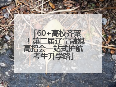 60+高校齐聚！第三届辽宁融媒高招会一站式护航考生升学路