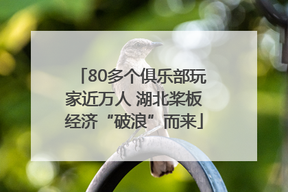 80多个俱乐部玩家近万人 湖北桨板经济“破浪”而来