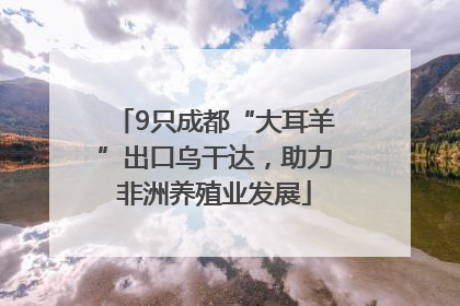 9只成都“大耳羊”出口乌干达，助力非洲养殖业发展