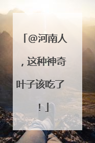 @河南人，这种神奇叶子该吃了！