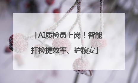 AI质检员上岗！智能扦检提效率、护粮安