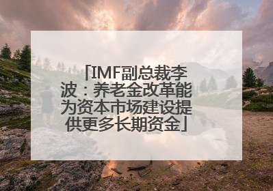 IMF副总裁李波：养老金改革能为资本市场建设提供更多长期资金