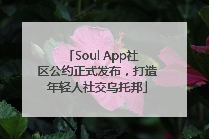 Soul App社区公约正式发布，打造年轻人社交乌托邦