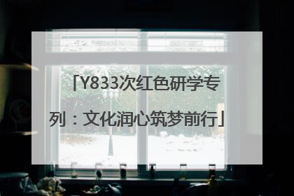 Y833次红色研学专列：文化润心筑梦前行